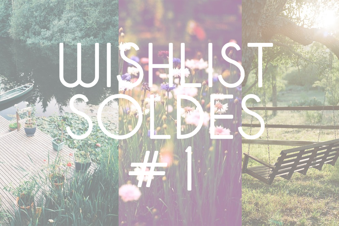 Wishlist Soldes #1