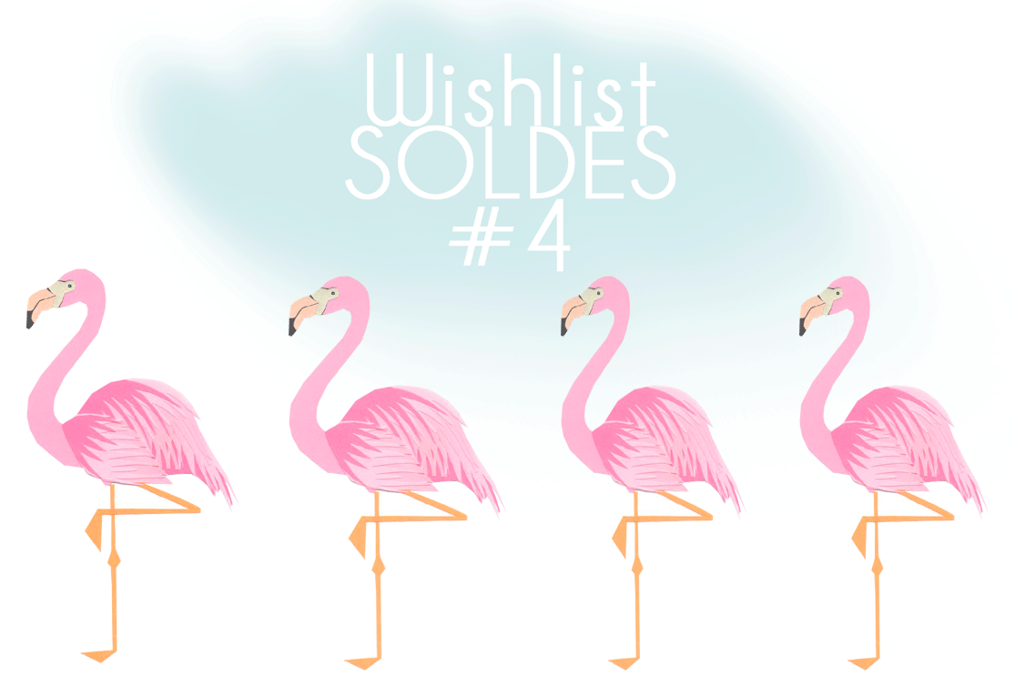 Wishlist Soldes #4