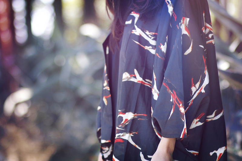 kimono flamands